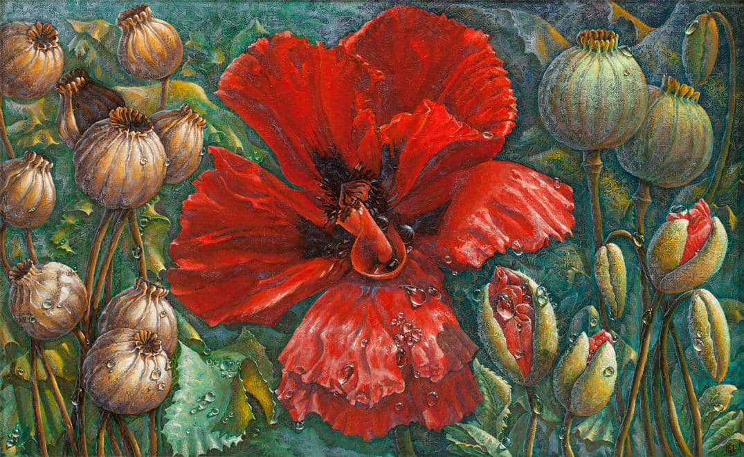 Maki i rosa — Eurika Urbonavičiūtė